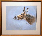 pastels009003.jpg