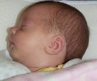 pastels012005.jpg