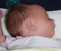 pastels012007.jpg